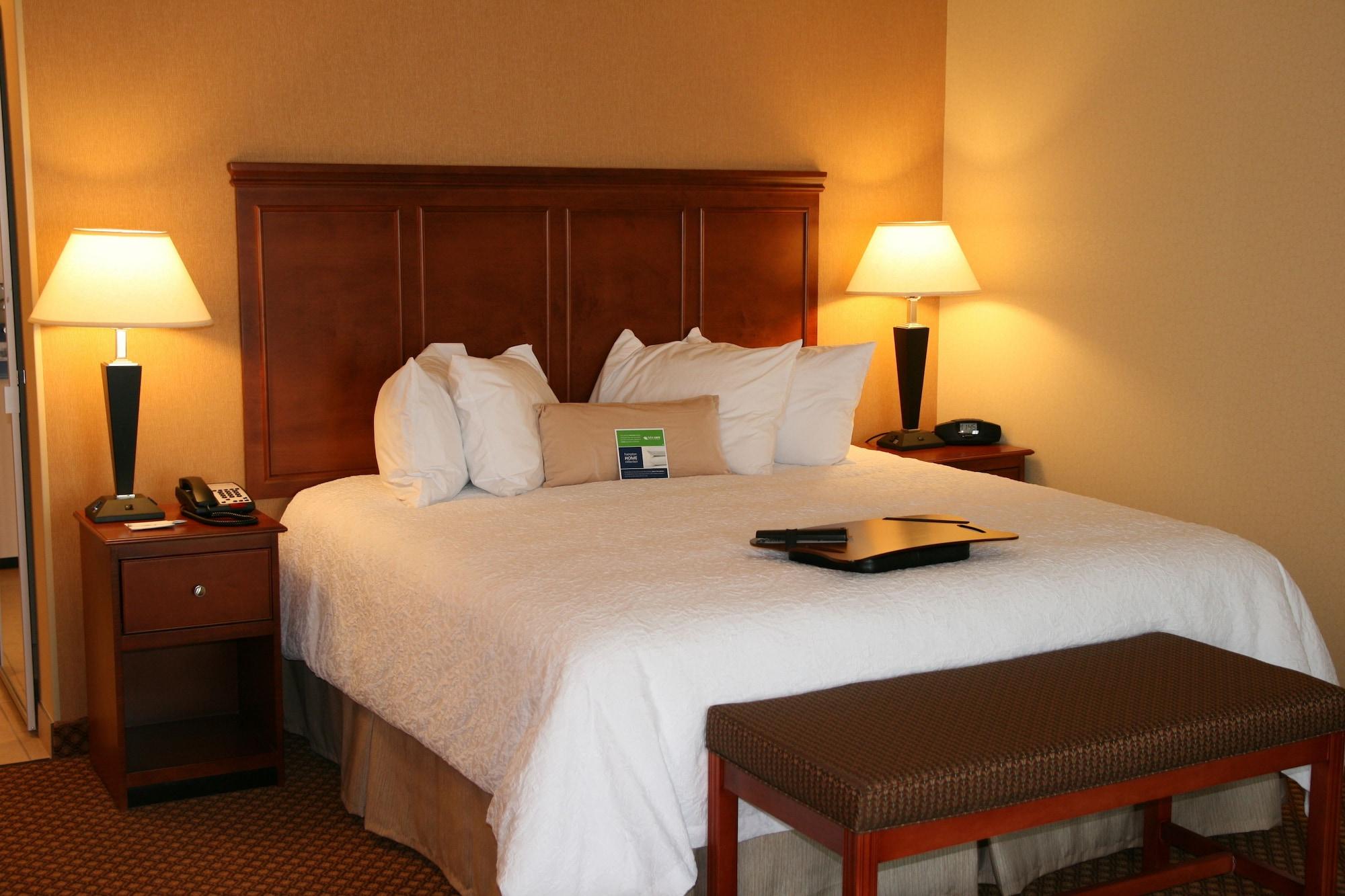 Hampton Inn & Suites Detroit/Chesterfield Room photo